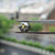 2.40CT Hexagon Rose Cut Black Salt and Pepper Loose Moissanite - Eurekalook