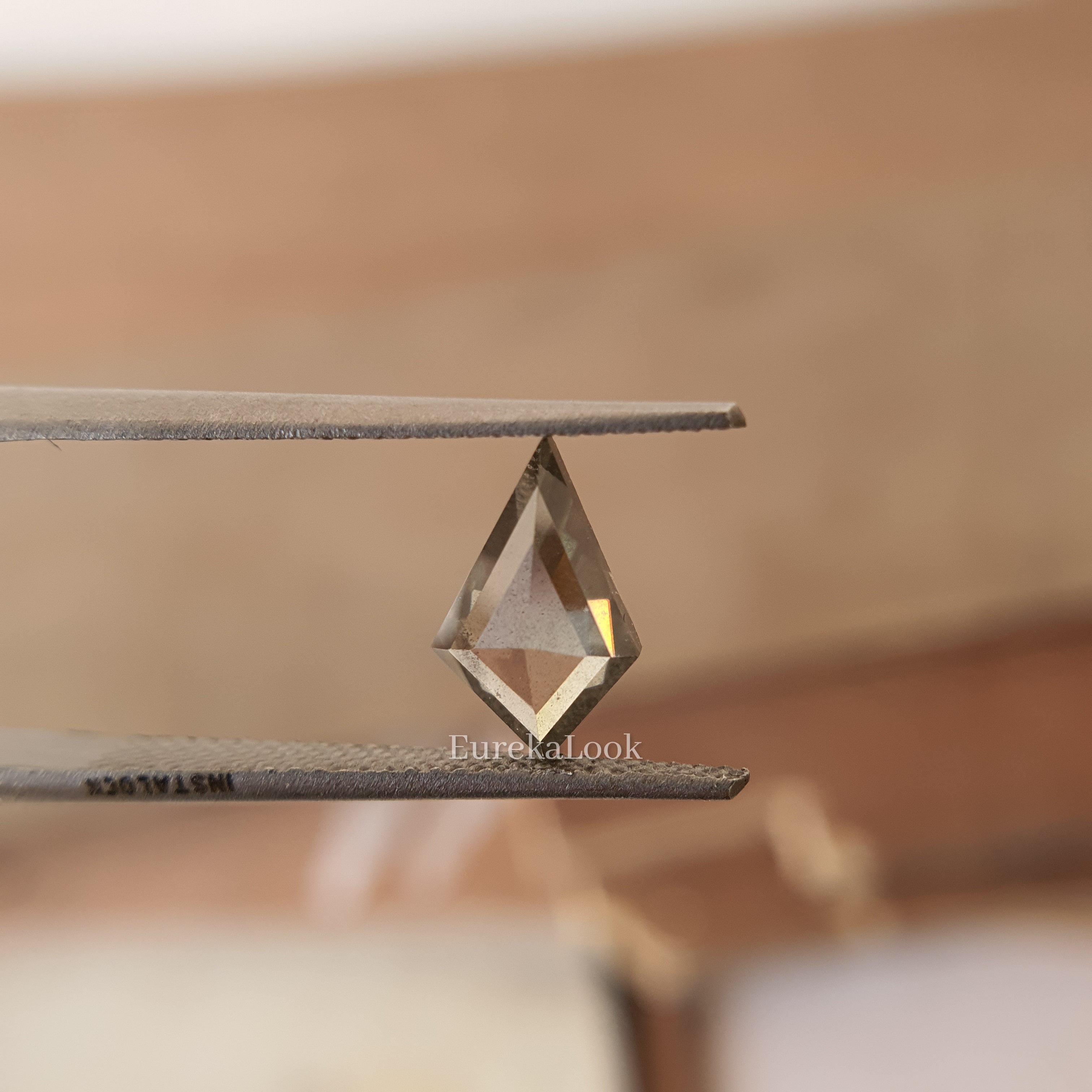 Kite Rose Cut Salt and Pepper Diamond - Eurekalook