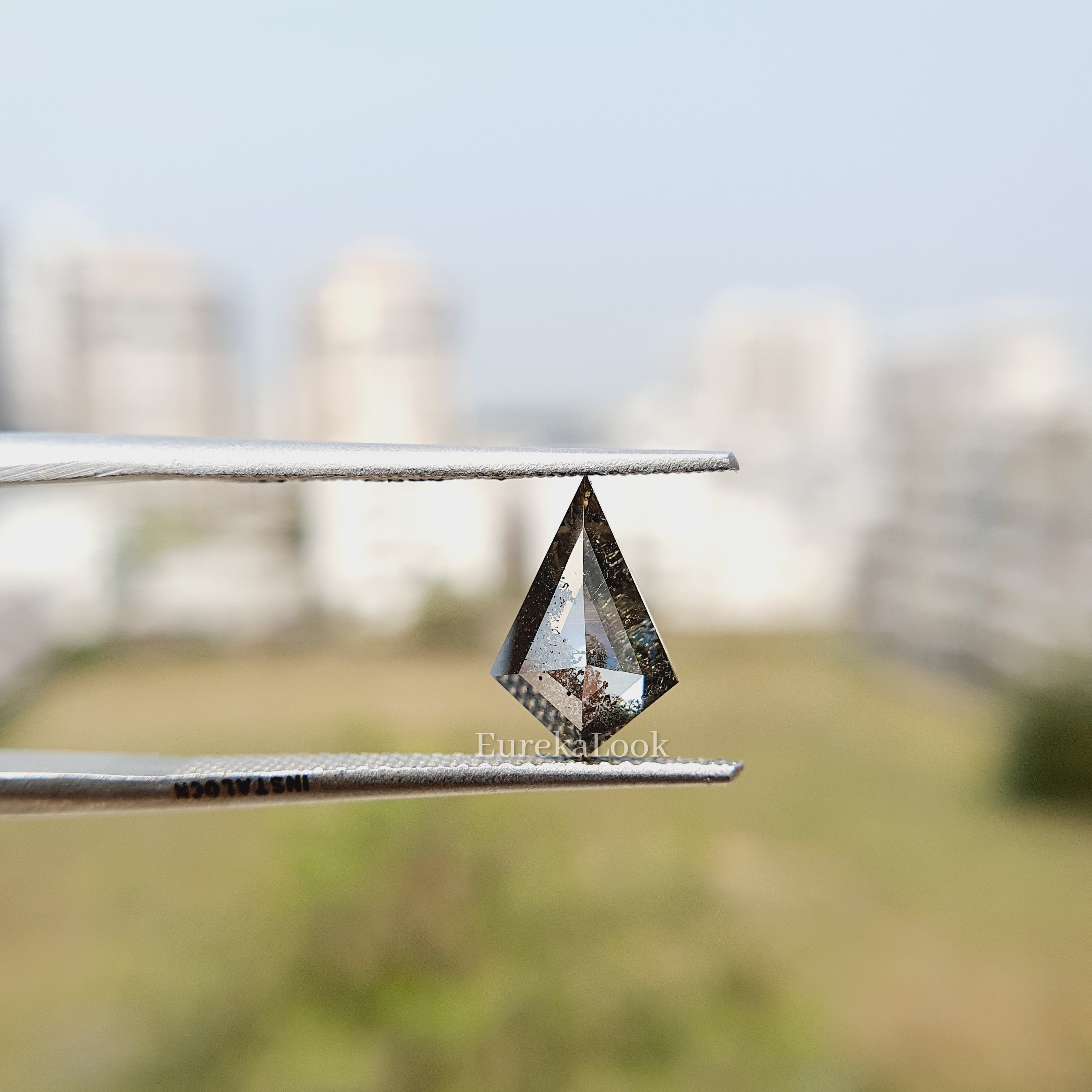 Rose Kite Cut Salt and Pepper Moissanite Diamond - Eurekalook