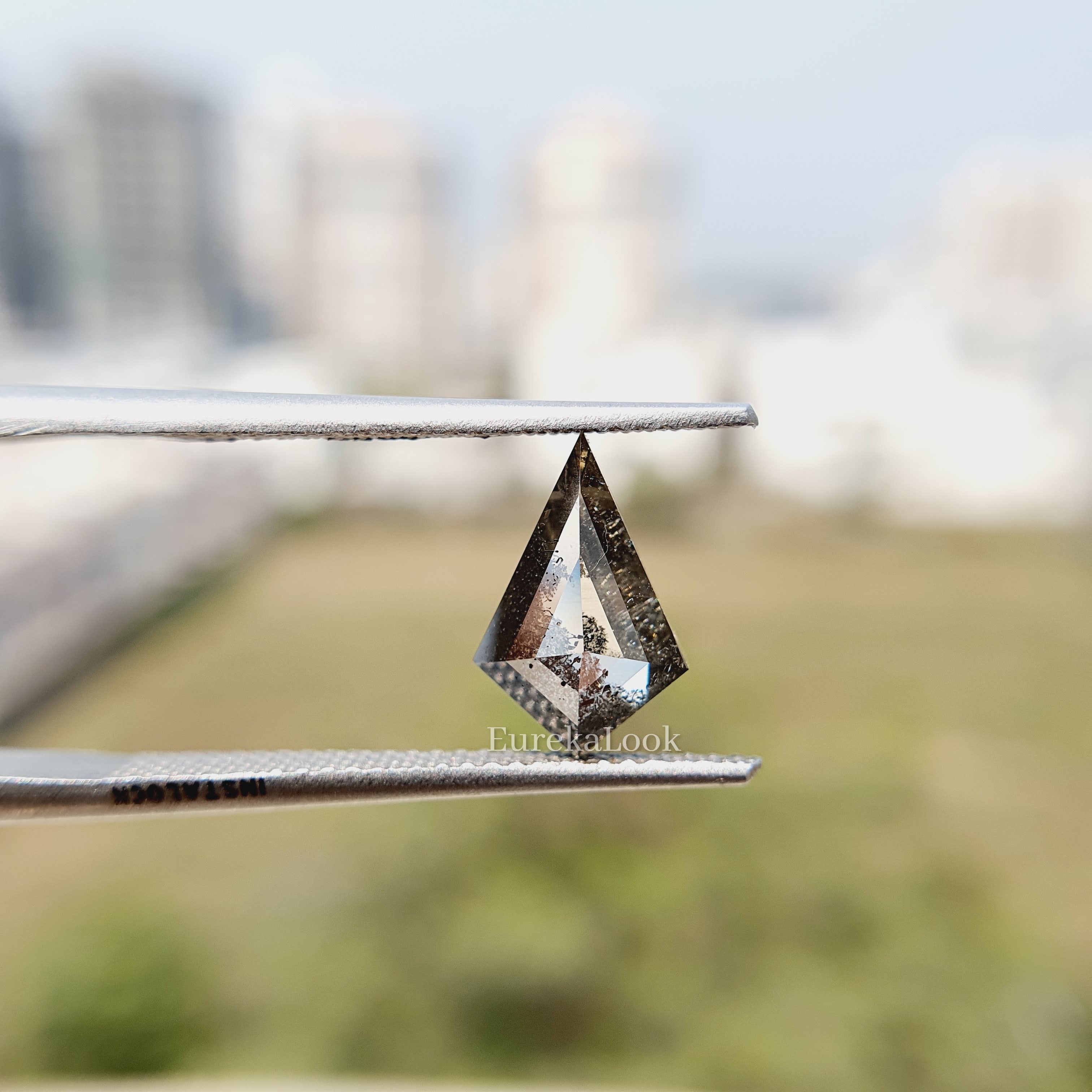 Rose Kite Cut Salt and Pepper Moissanite Diamond - Eurekalook