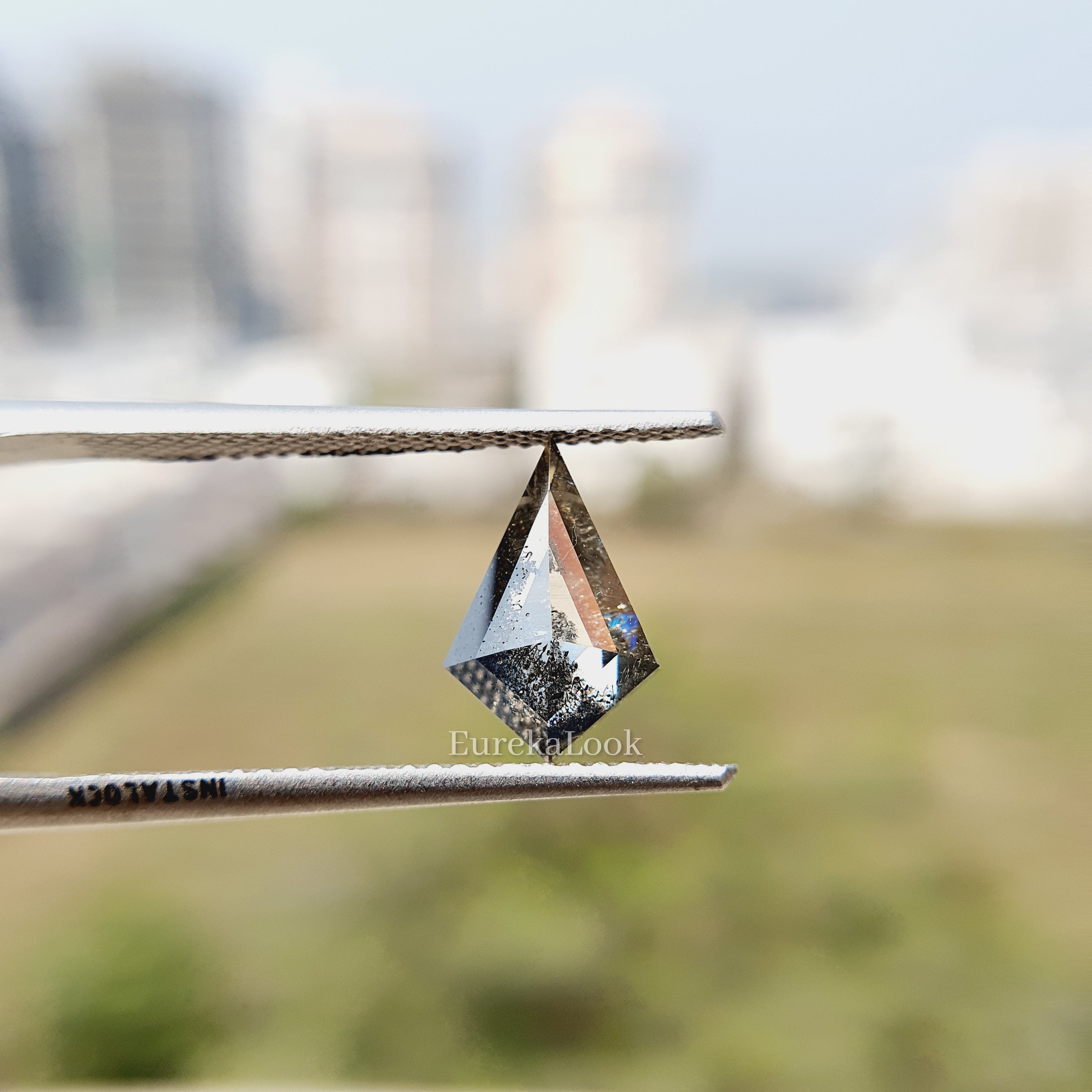 Rose Kite Cut Salt and Pepper Moissanite Diamond - Eurekalook