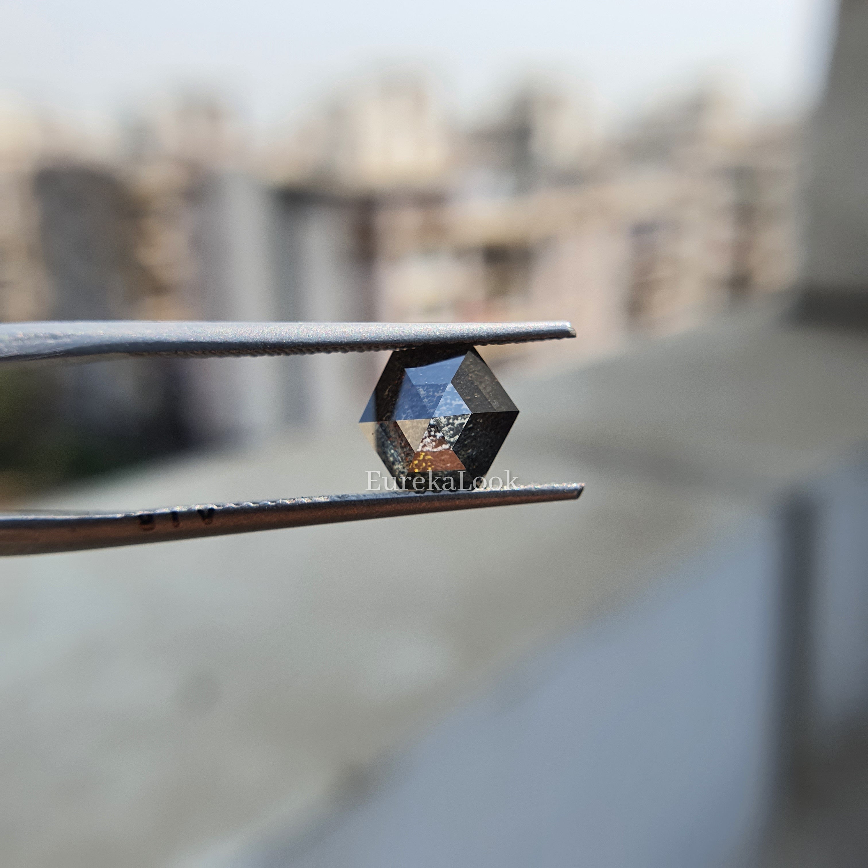 Hexagon Rose Cut Salt and Pepper Moissanite Diamond - Eurekalook